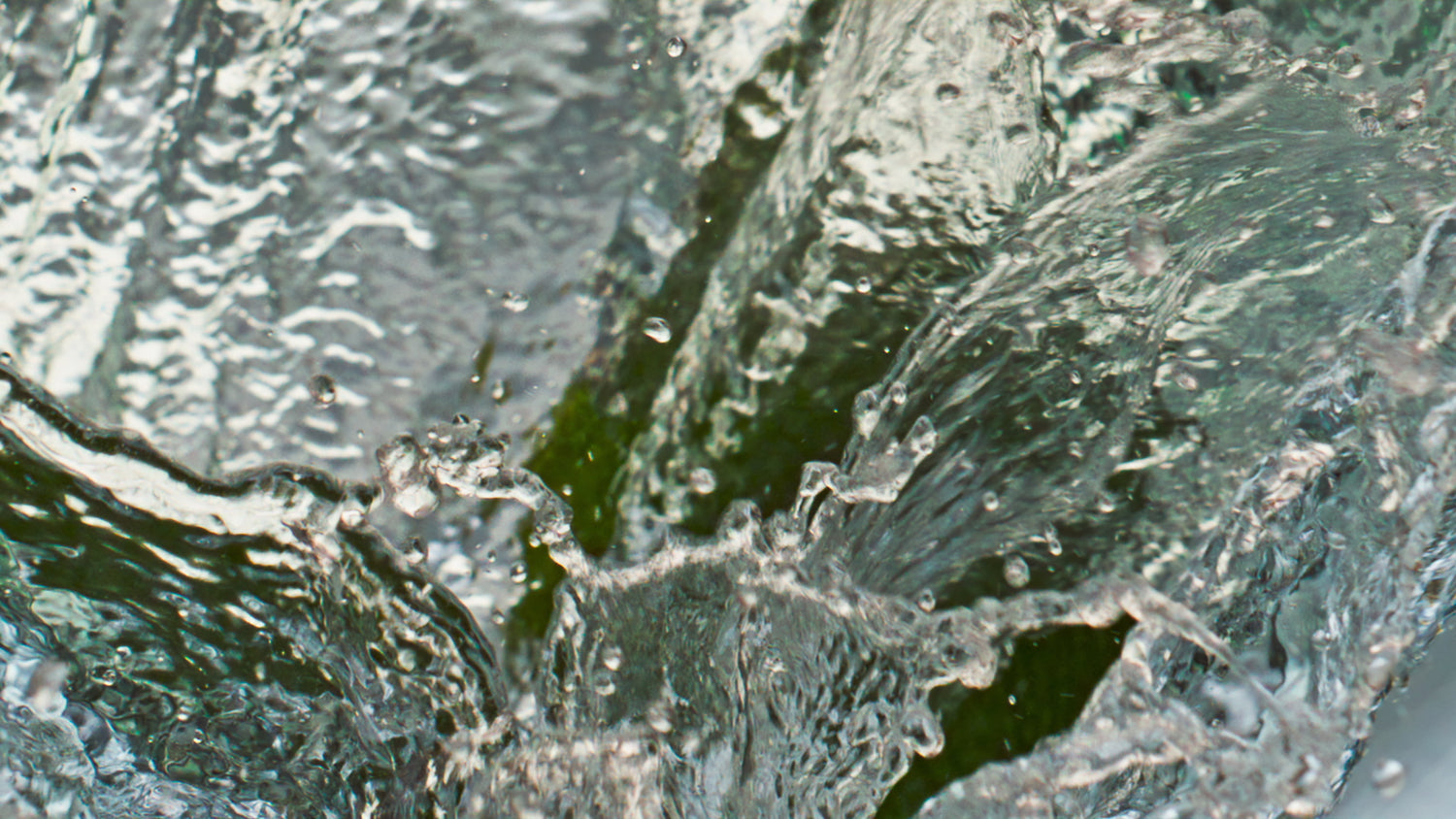 CHÁ VERDE